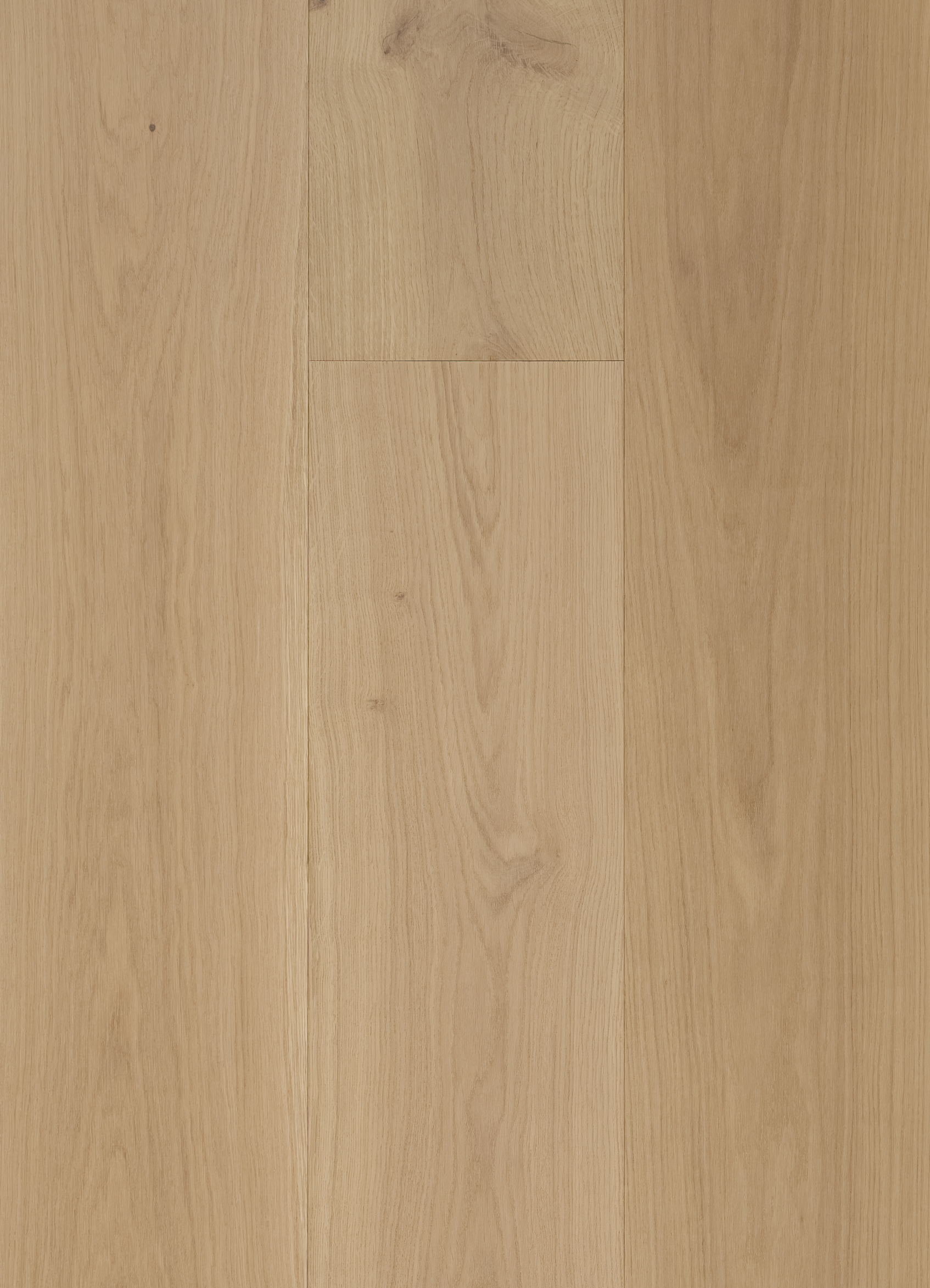 Amber engineered white oak wood flooring in a golden beige oak tone with warm wheat and light caramel undertones