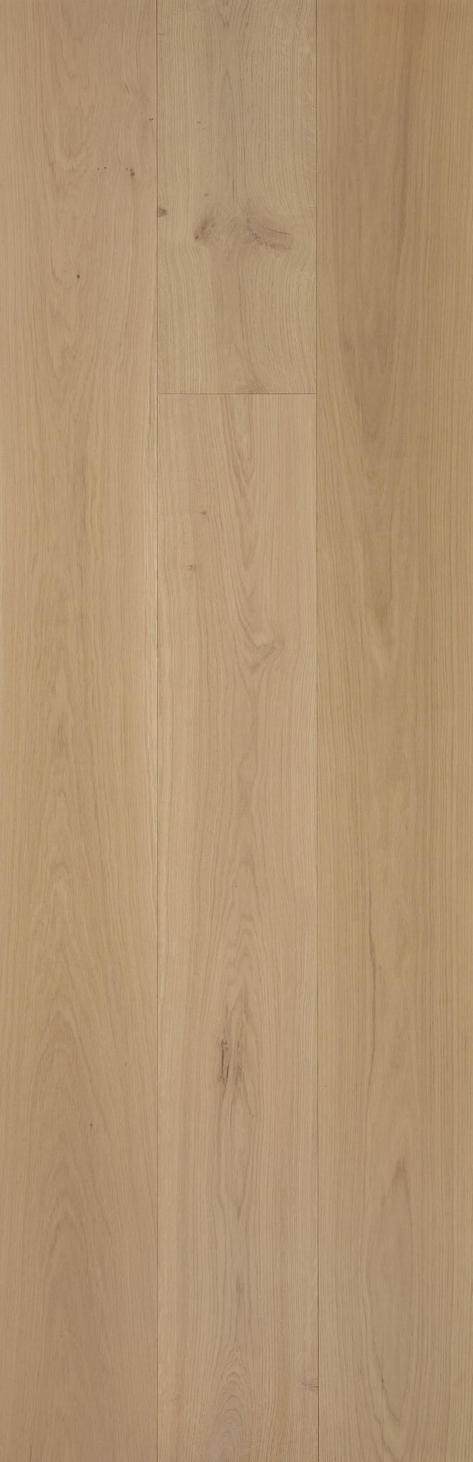 RAVELLE Forma Amber engineered European oak flooring in a golden beige oak tone with warm wheat and light caramel undertones