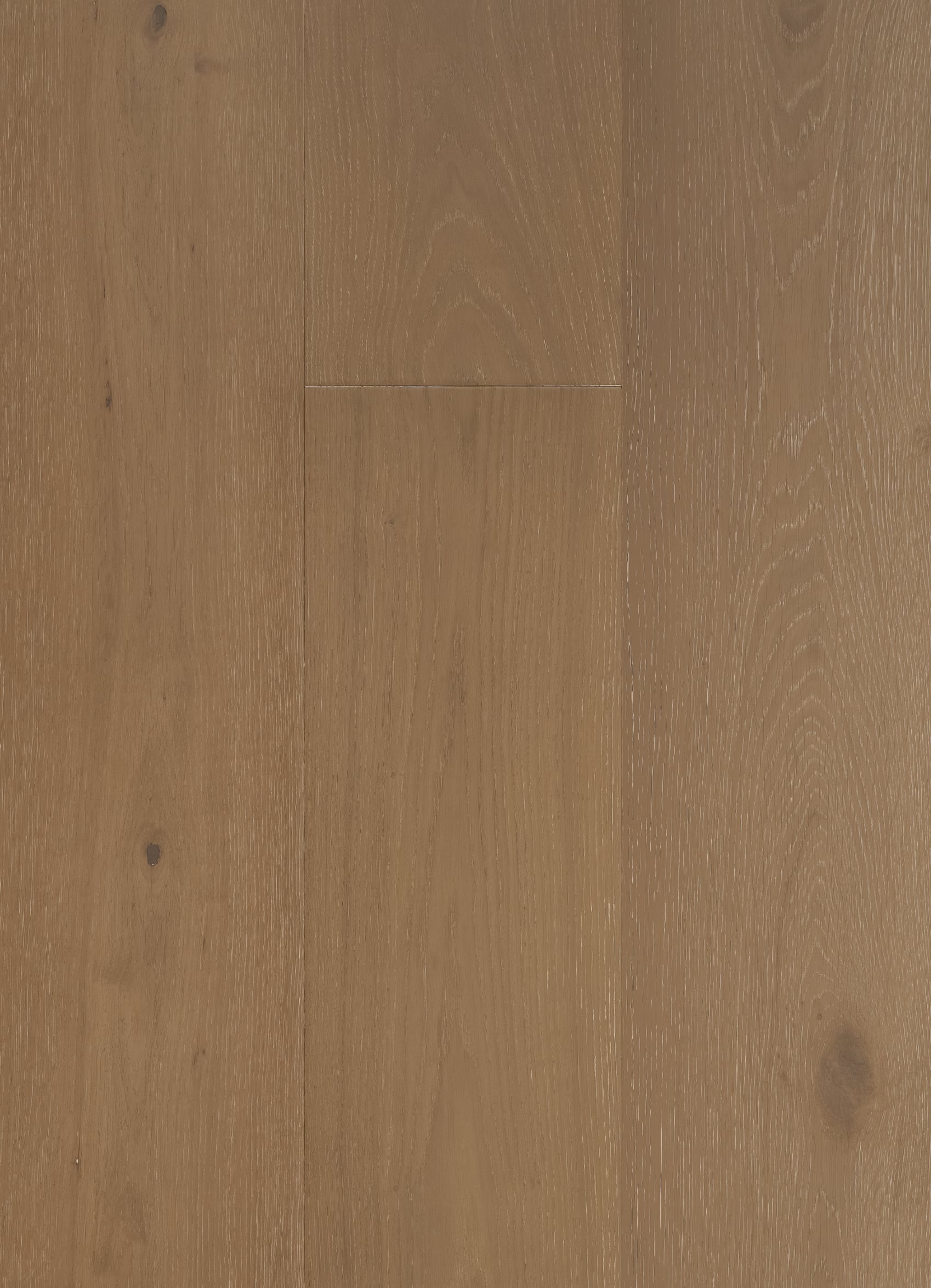 Bisque engineered white oak wood flooring in a warm tan-beige oak tone with camel and toasted grain undertones