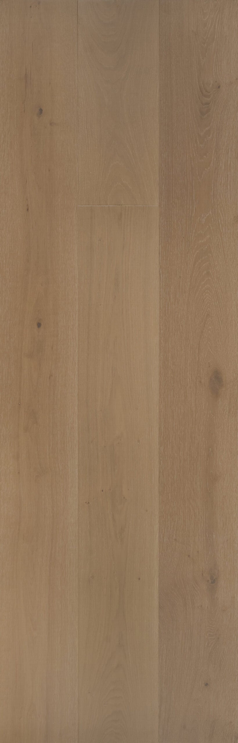 Bisque engineered European oak flooring color by RAVELLE in a warm tan-beige oak tone with camel and toasted grain undertones