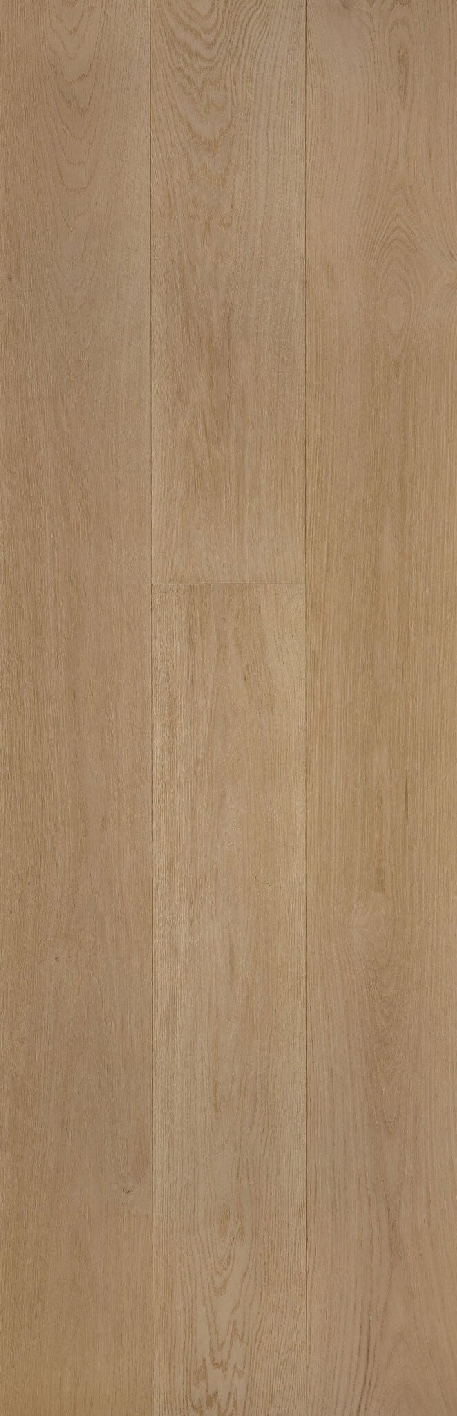 Creme engineered european oak flooring color in a creamy beige-blonde tone with soft biscuit undertones and subtle European oak texture