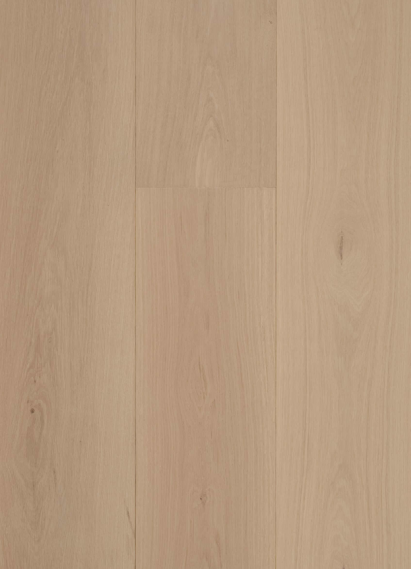 Dune engineered white oak wood flooring in a pale blonde beige tone with soft greige undertones and subtle natural grain variation