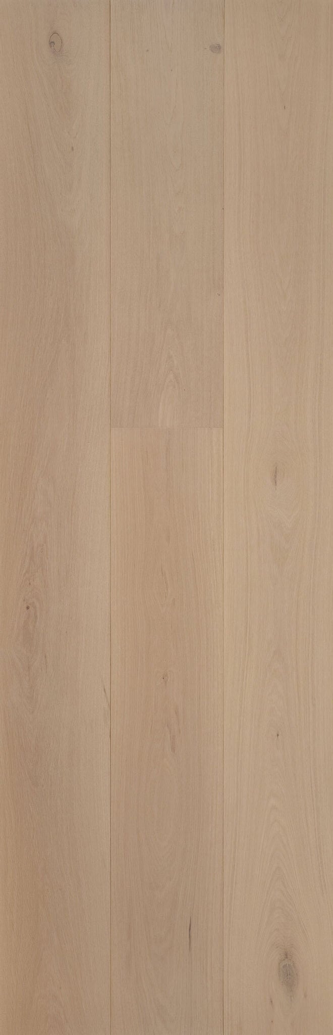 Dune engineered european oak flooring color in a pale blonde beige tone with soft greige undertones and subtle natural grain variation