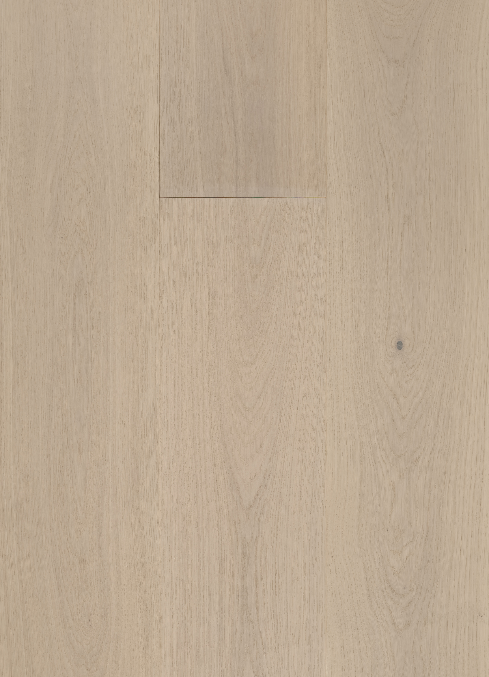 Natural engineered European oak flooring in a light natural beige tone with soft oat undertones and subtle wire-brushed grain