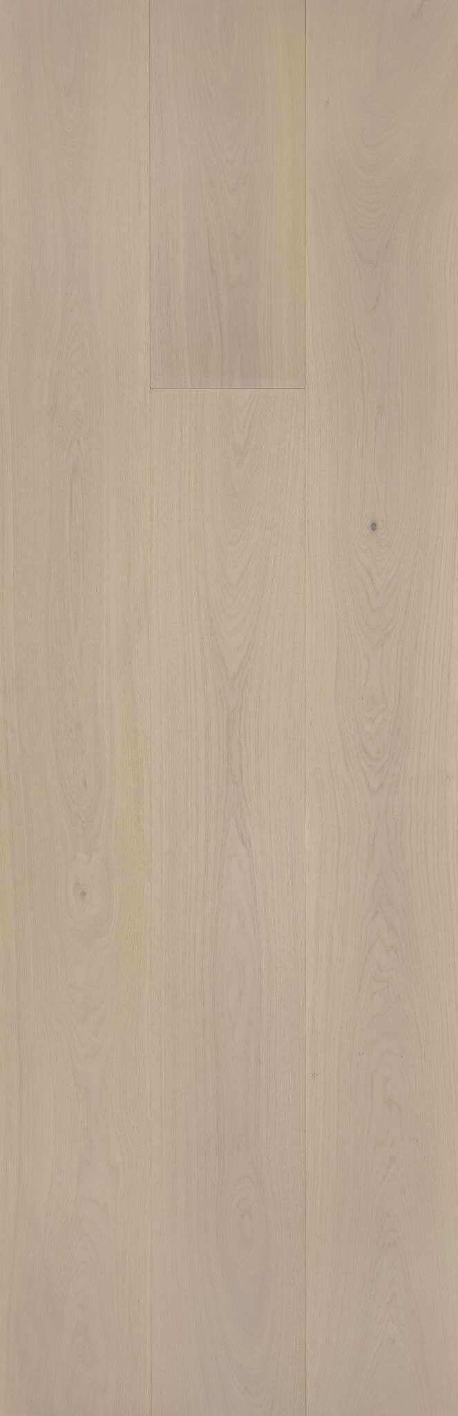 Natural engineered european oak flooring color by RAVELLE in a light natural beige tone with soft oat undertones and subtle wire-brushed grain