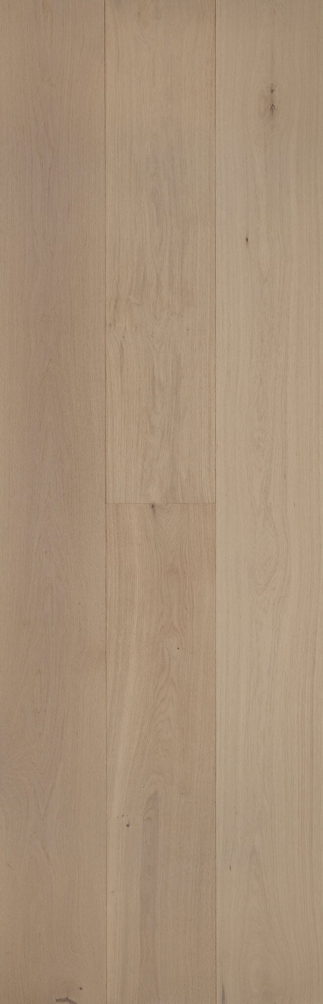 Sand engineered European oak wood flooring color in a light sandy beige tone with muted taupe undertones and refined wire-brushed texture