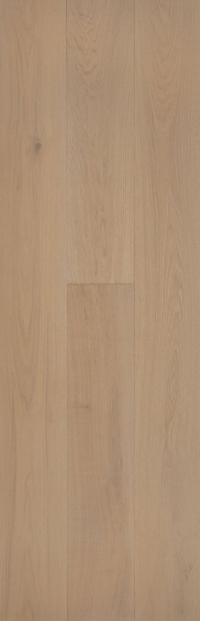 Sienna engineered European oak flooring color in a warm light honey beige tone with soft camel undertones and elegant wire-brushed grain